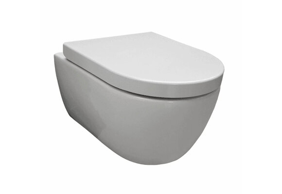 Saniful Wandcloset Rimfree compact met softclose zitting