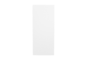 Ecosun E200K infrarood paneel plafond en wand 75x32cm 200W