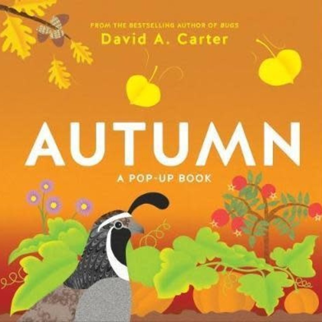 AUTUMN POP-UP BOOK