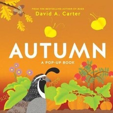 AUTUMN POP-UP BOOK
