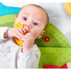 Tiny Love Tiny Love Super Mat Meadow Days