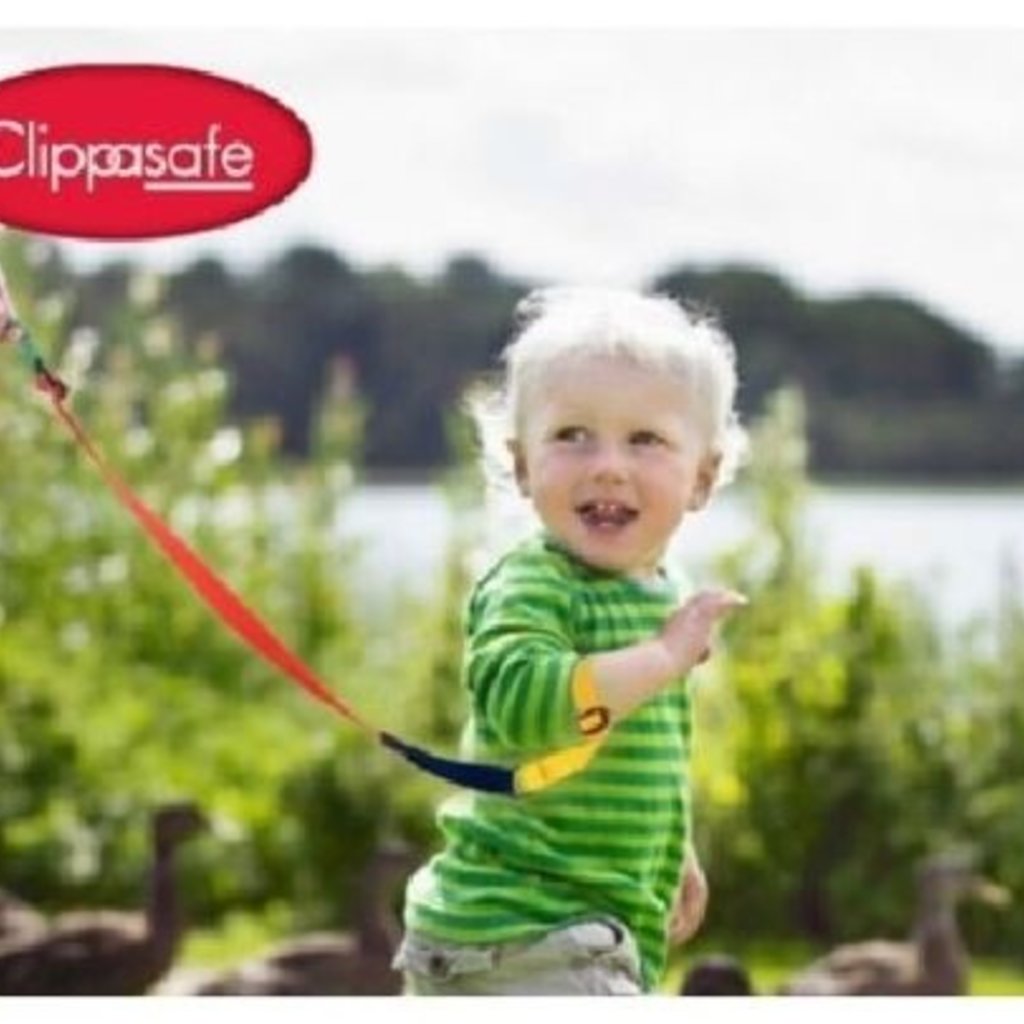 Clippasafe Clippasafe Wrist Link Reins MultiColour