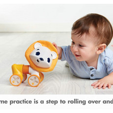 Tiny Love Tiny Love Rolling Toy Leonardo
