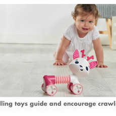 Tiny Love Tiny Love Rolling Toy Florence