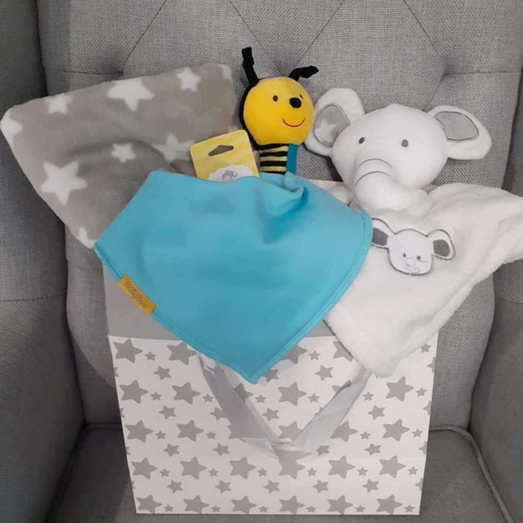 Neutral Baby Large Gift Bag