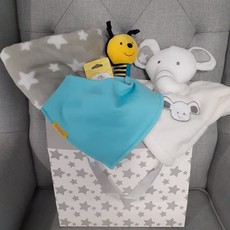 Neutral Baby Large Gift Bag