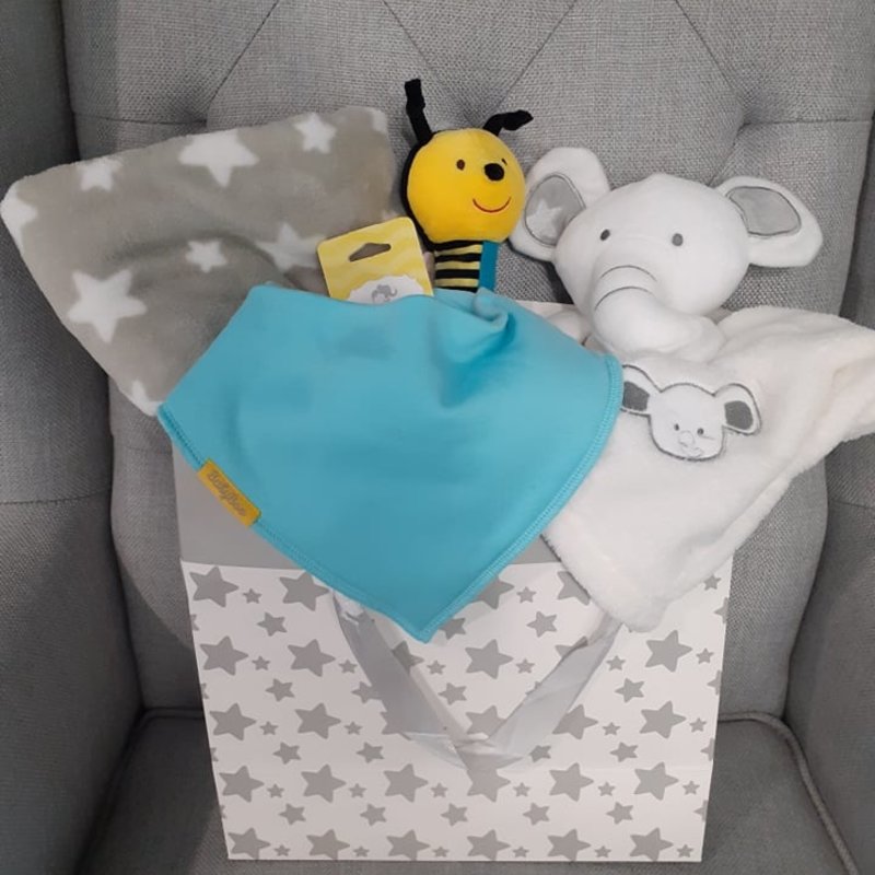 Neutral Baby Large Gift Bag