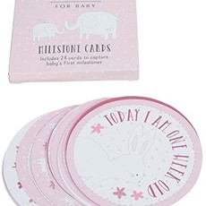 Petit Cheri Milestone Cards- Pink