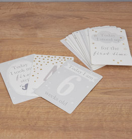 Bambino Bambino Little Star Baby Milestone Cards