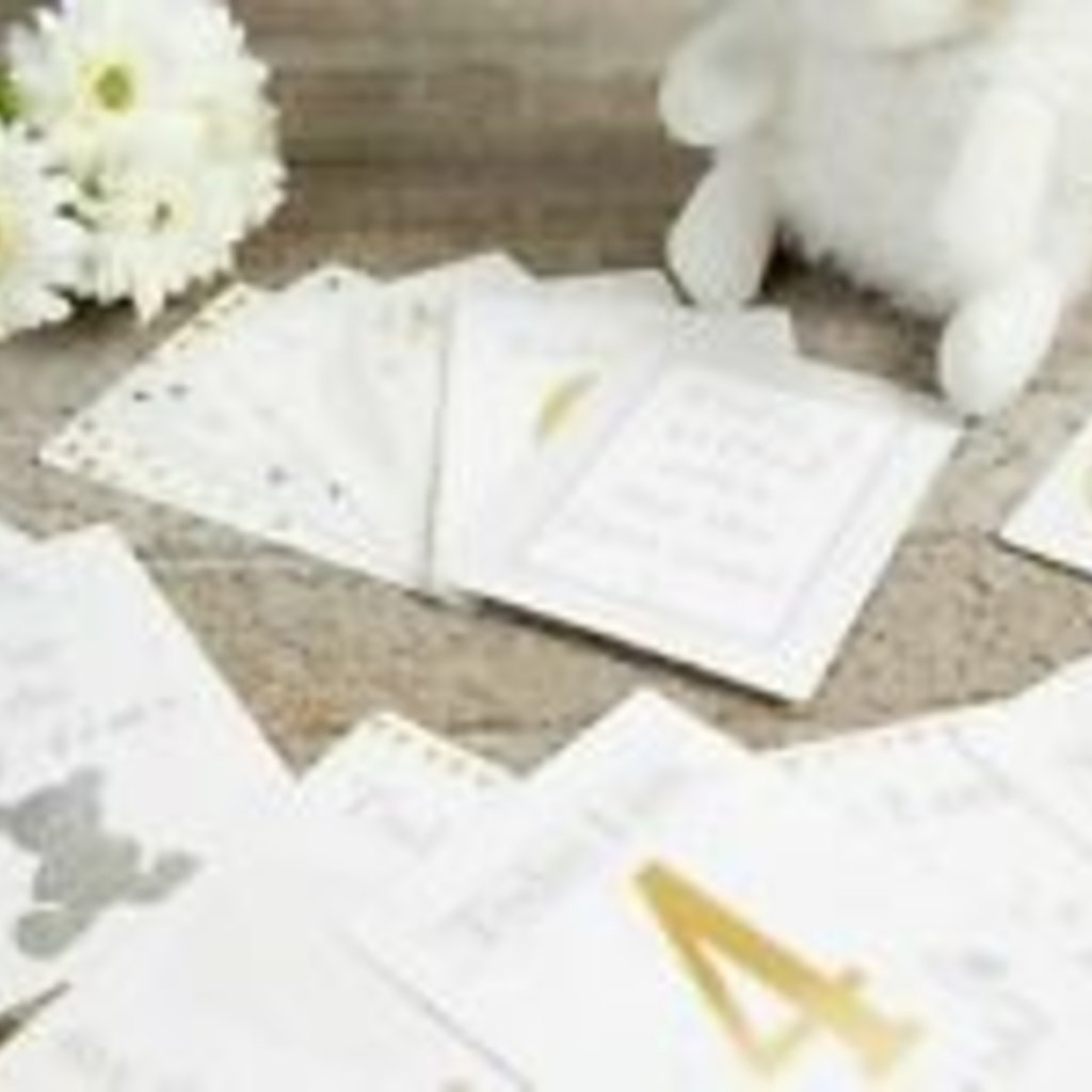 Bambino Bambino Little Star Baby Milestone Cards