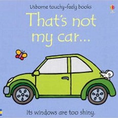 Usborne That’s  Not My Car