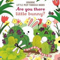 Usborne Are You There Little Bunny