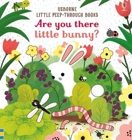 Usborne Are You There Little Bunny