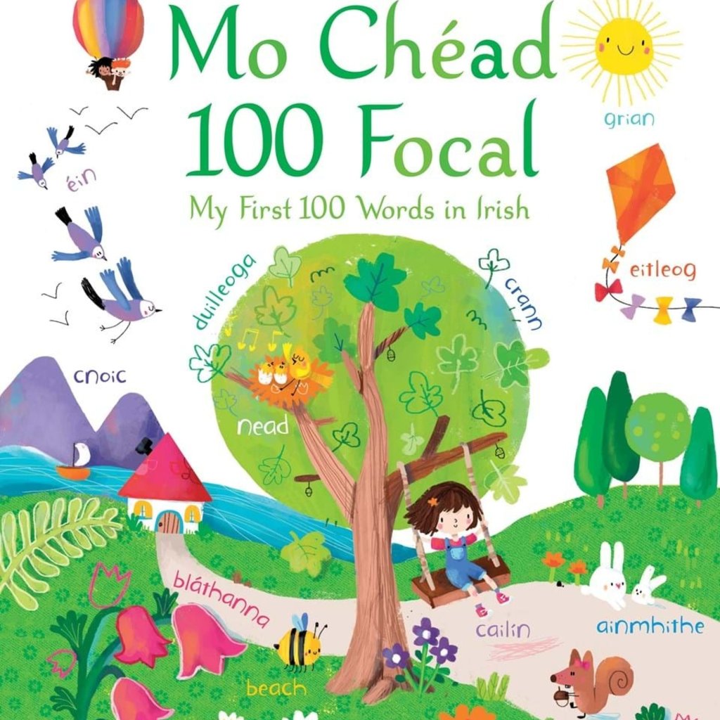 Usborne My First 100 Words in Irish