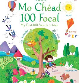 Usborne My First 100 Words in Irish