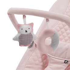 gravity bouncer baby