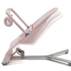 gravity bouncer baby