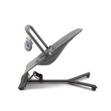 gravity bouncer baby