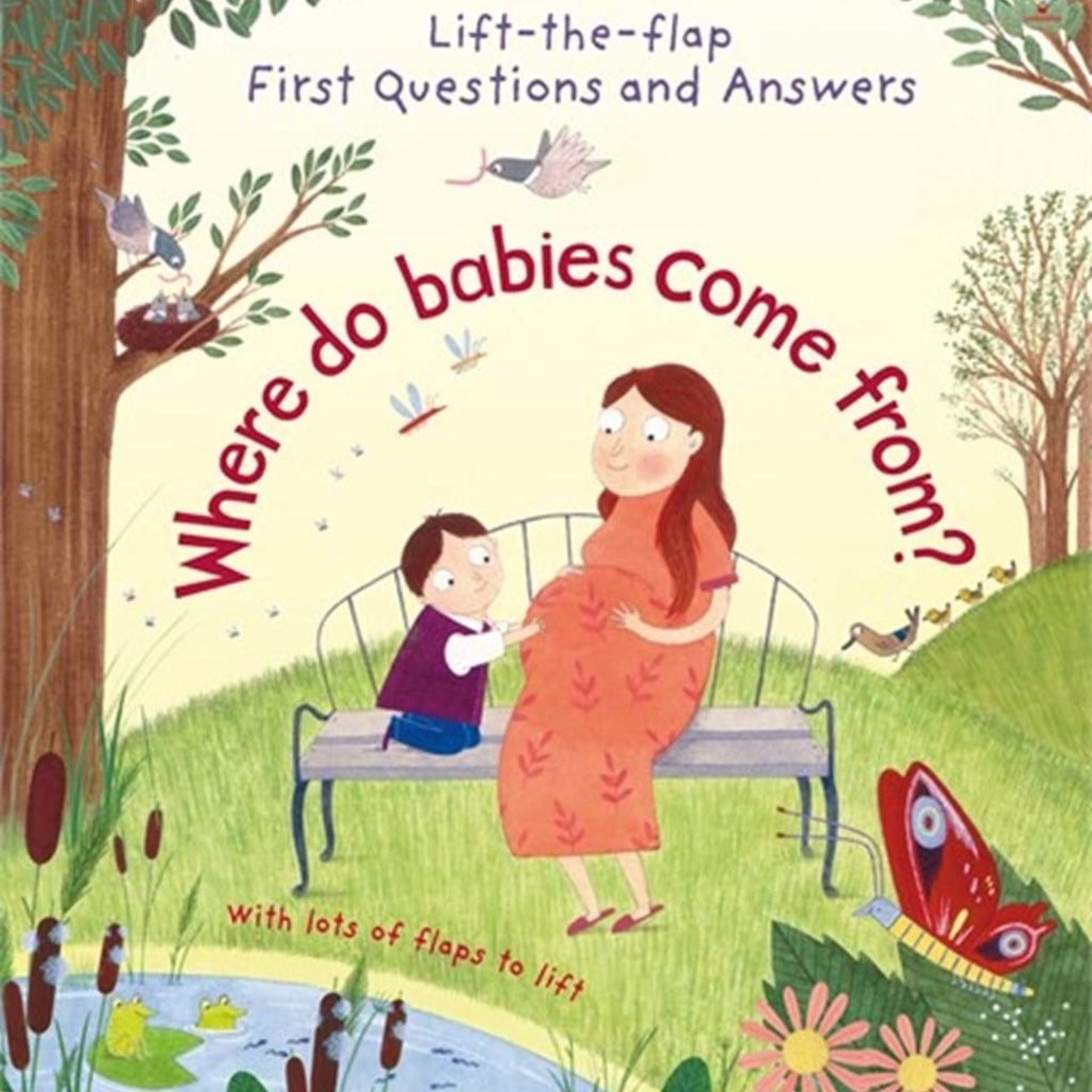 Usborne Where Do Babies Come From