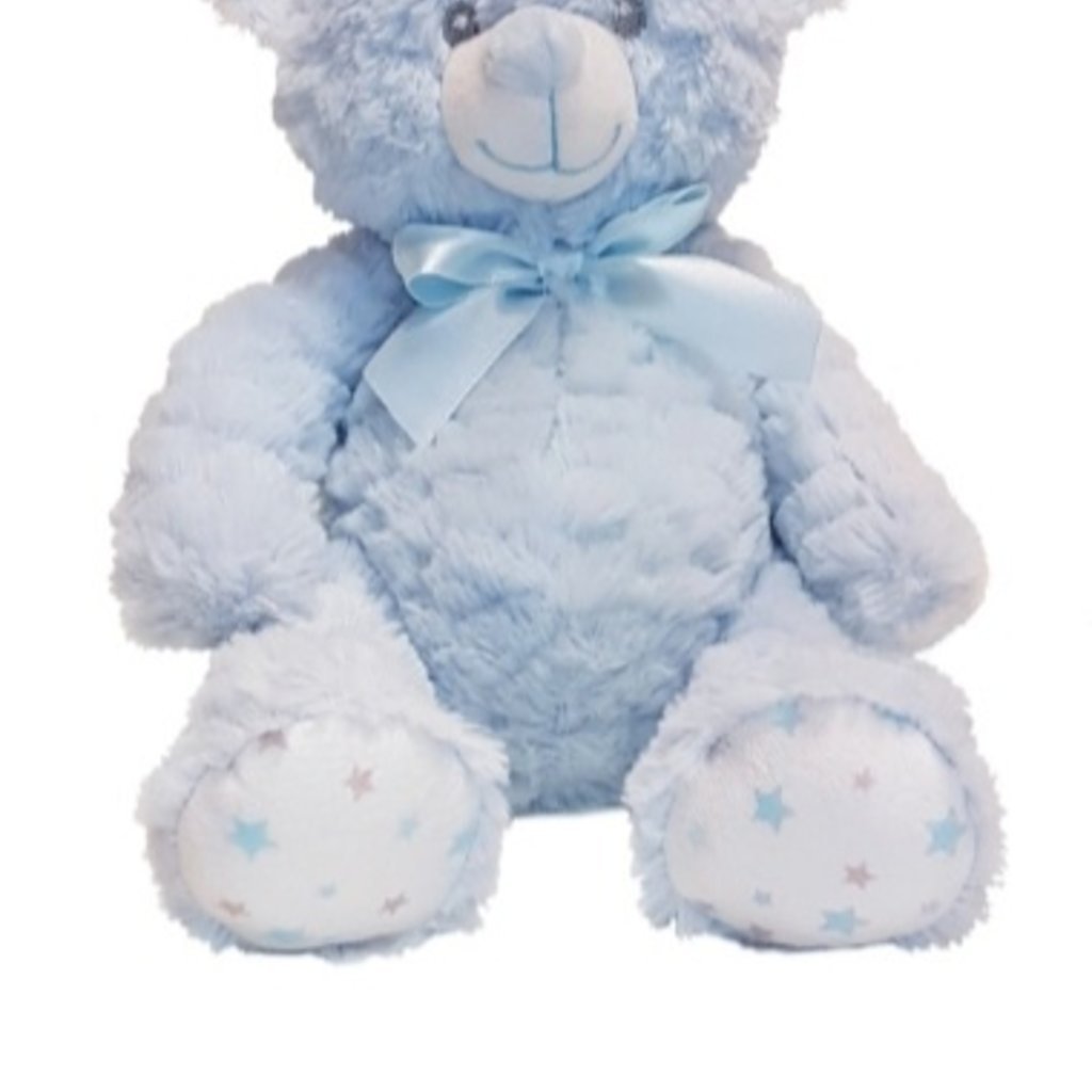 Soft Blue Star Feet Teddy Bear