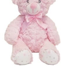 Soft Pink Star Feet Teddy Bear