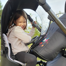 Allaboutthem Cozy Rider Buggy Board Raincover