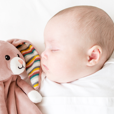 ZAZU Zazu Robin Baby Comforter with Heartbeat Sound