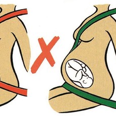 Clippasafe Clippasafe Bump Belt