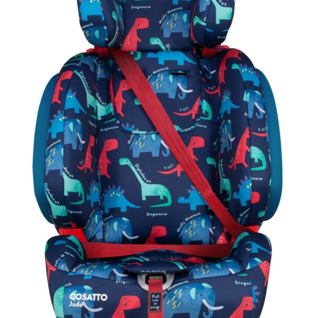 Cosatto Cosatto - Judo D is for Dino