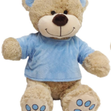 Blue TShirt Bear