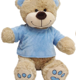 Blue TShirt Bear