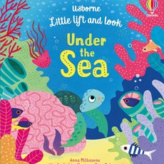 Usborne Little lift and look - Under the Sea