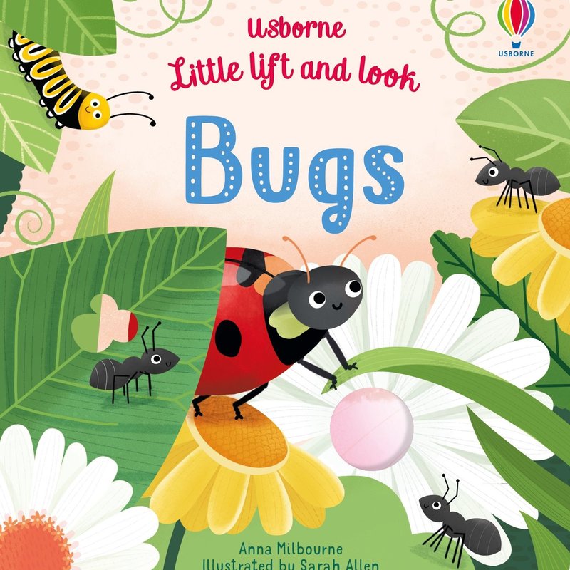 Usborne Little lift and look Bugs