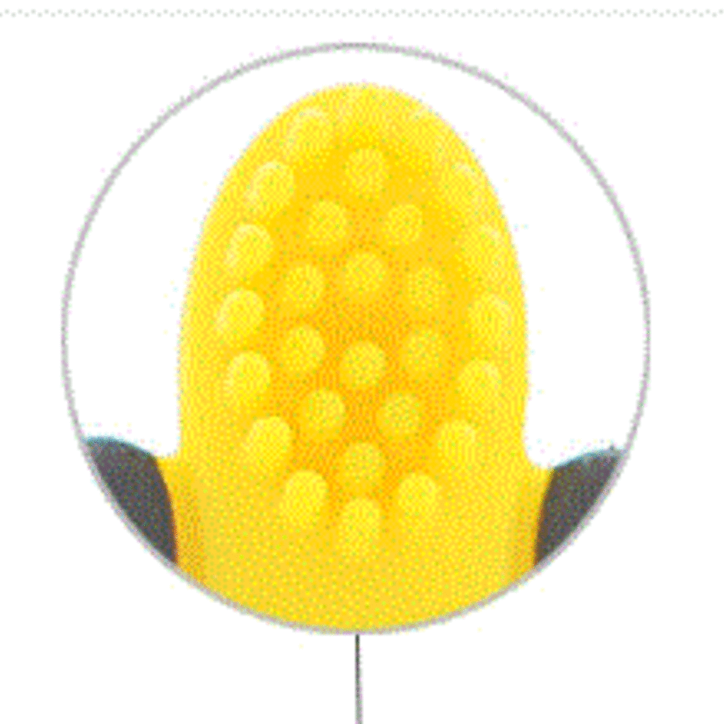 Smiley Eileey Smiley Eileey Chewable Toothbrush