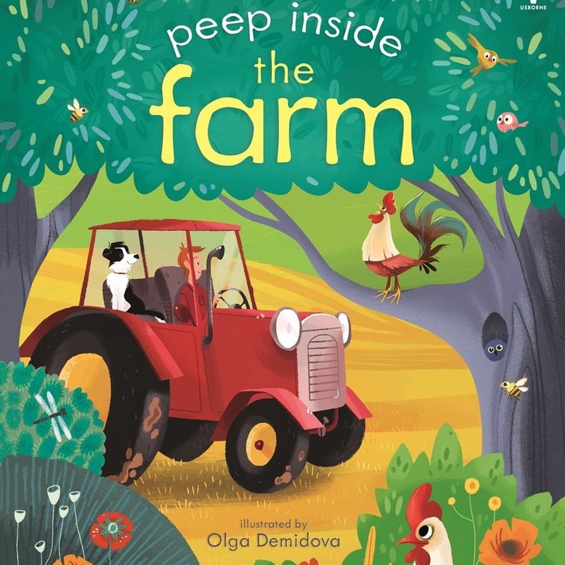 Usborne Peep Inside The Farm