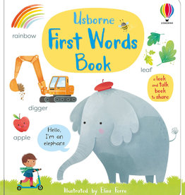 Usborne First Words Book