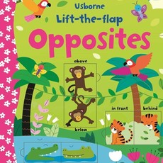 Usborne  Lift The Flap Opposites