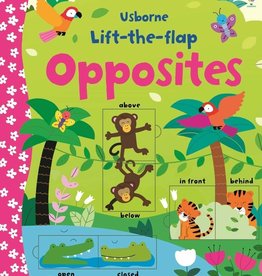 Usborne  Lift The Flap Opposites