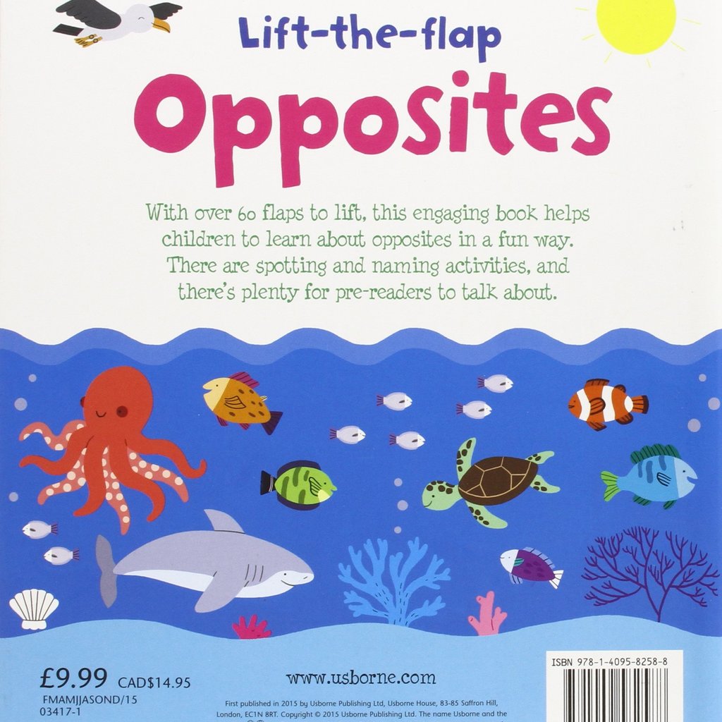 Usborne  Lift The Flap Opposites