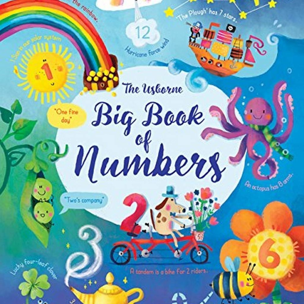 Usborne The Usborne Big Book of Numbers