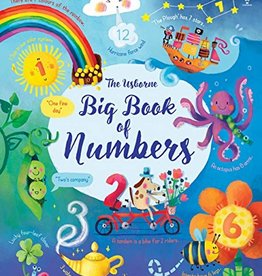 Usborne The Usborne Big Book of Numbers