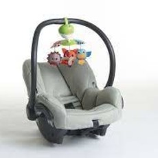 Tiny Love Take Along Mobile Meadow Days