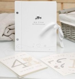 Twinkle Twinkle Milestone Cards & Album