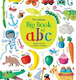 Usborne The Big Book of  abc