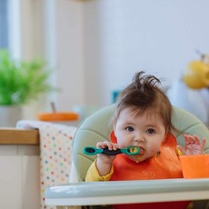 Tommee Tippee Tommee Tippee Smushee Food Catcher