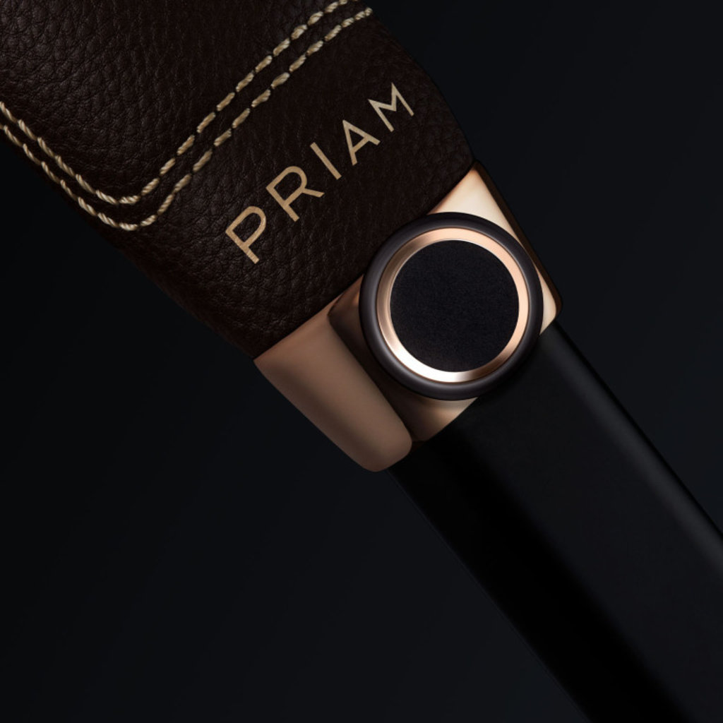 CYBEX Cybex Priam Frame Rose Gold Seat Hardpart