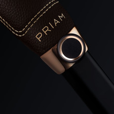 CYBEX Cybex Priam Frame Rose Gold Seat Hardpart