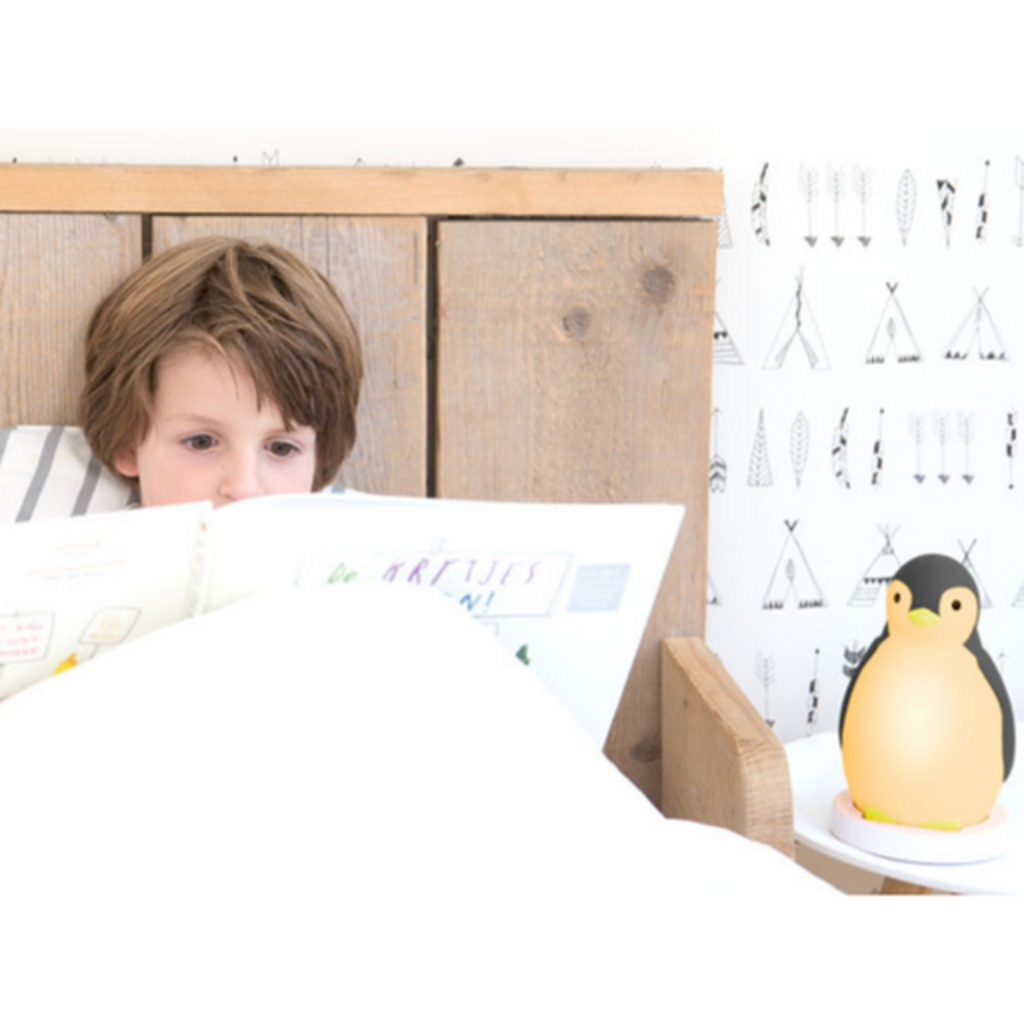 ZAZU Zazu Pam Sleep Trainer