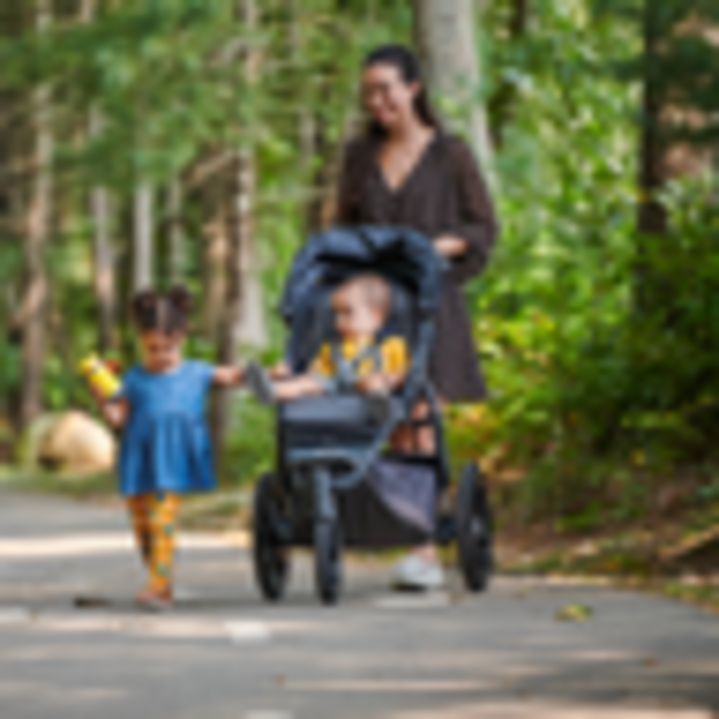 Uppababy Uppababy Ridge Stroller Reggie