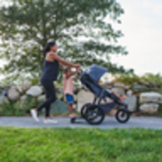 Uppababy Uppababy Ridge Stroller Reggie